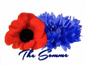 Poppy and Cornflower motif